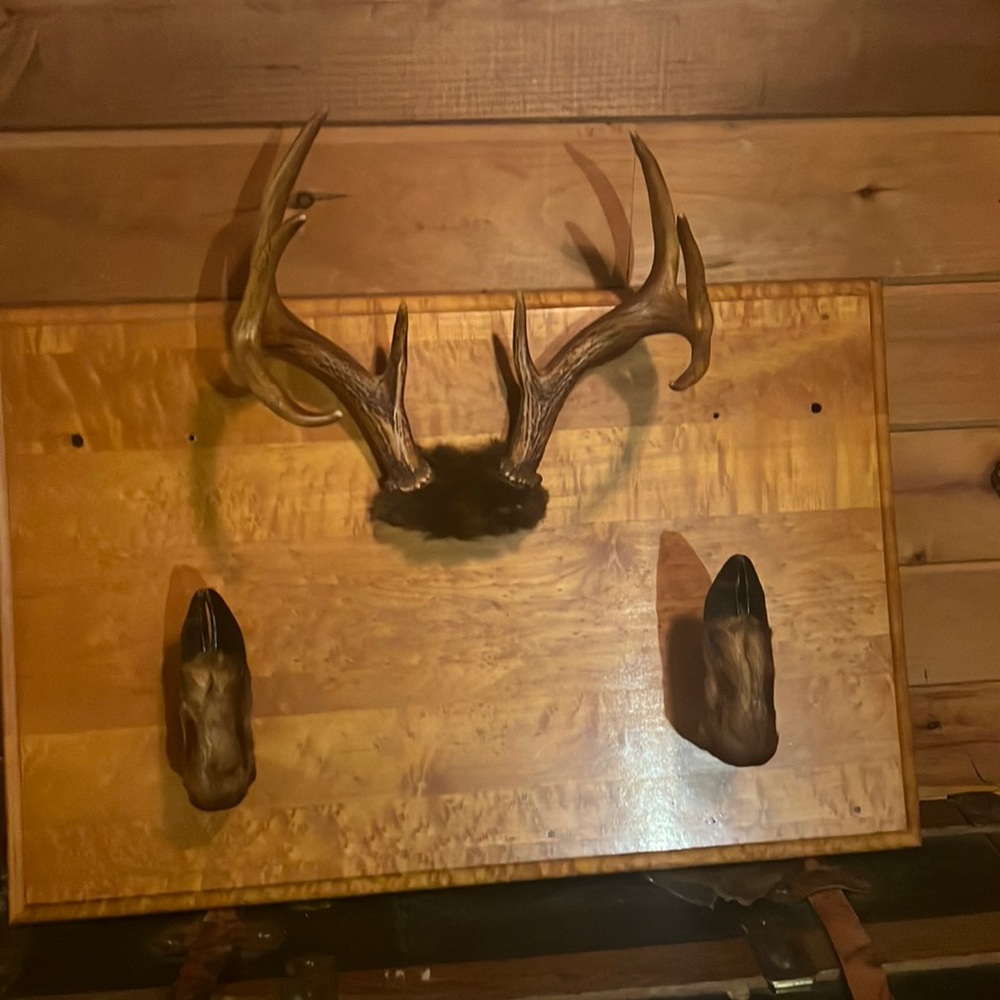 Authentic Maine whitetail deer gun rack.